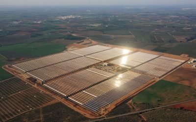 Director de Proyecto Planta Termosolar