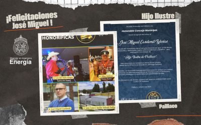 José Miguel Cardemil, Director del MIE y docente del DIMM-PUC será nombrado “Hijo Ilustre” de Paillaco