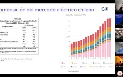Webinar MIE-UC y GIE-AG analizan cómo abrir espacio a nuevos actores en el mercado energético chileno